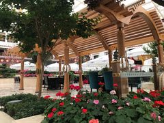-拉萨圣地天堂洲际大饭店-自助餐厅