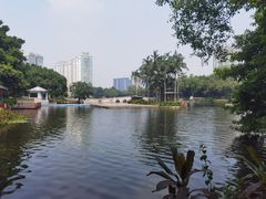 -荔湾湖公园