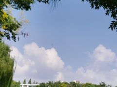 -运河游船(武林门码头)