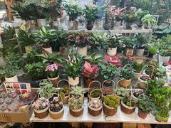 -双季花艺园艺市场(浦东店)