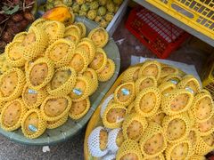 -三亚新鸿港水果一级批发市场