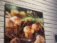 -菌乡缘·野生菌蒸汽鱼火锅(江边夜市店)
