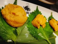-大渔之观(安贞店)