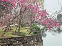 -无锡蠡湖国家湿地公园-蠡园