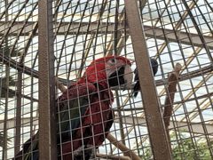 -南宫五洲植物乐园