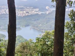 -大屏嶂森林公园