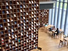 -西湖外事游船(花港观鱼码头)