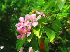 -元大都城垣遗址公园