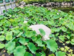 -木塔寺遗址生态公园