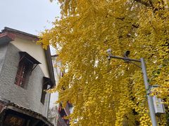 -黄兴南路步行商业街