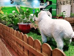 -九府羊鲜羊火锅·烧烤(任丘东风美食街店)