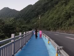 -武陵山森林公园