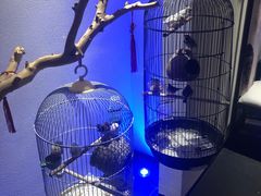 门面-悦融·京鲁菜·露台花园(安定门店)