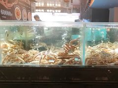 -紫阳海鲜楼·传承闽味(长乐路总店)