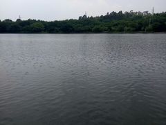 -南国桃园旅游度假区