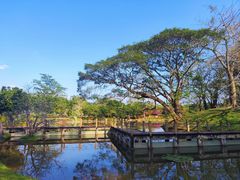 -中国科学院西双版纳热带植物园