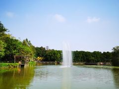 -大湾区中央湿地公园