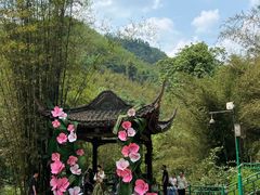 -四洞沟景区