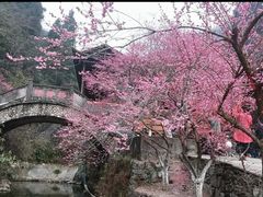 -车溪民俗旅游区