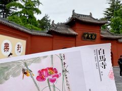 -洛阳白马寺