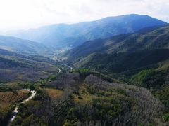-阳台山自然风景区