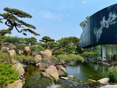 -罗红摄影艺术馆