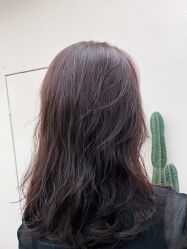-IP SALON