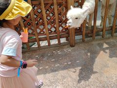 -杭州开元森泊度假乐园