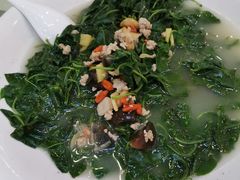 土猪肉浸枸杞远-清心鸡沙田乳鸽店·非遗传承(石溪店)