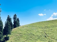 -新疆那拉提国家旅游度假区