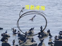 -深圳湾公园(南山区)