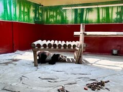 -杭州野生动物世界