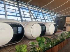 -上海浦东国际机场-T2航站楼