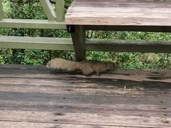 -苍山感通索道