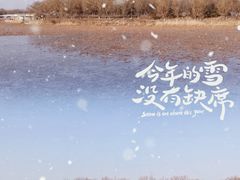 -大兴滨河森林公园