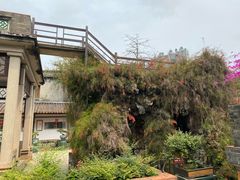 -东莞市可园博物馆