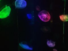-台州海洋世界