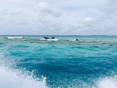 -中央格兰德岛温泉度假酒店 - 全包