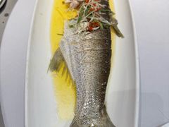 -钱记·乡野菜(紫荆花路店)