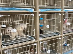 -双季花艺园艺市场(浦东店)