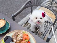 -ommo cafe(半岛城邦店)