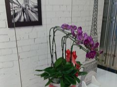 -泰康拜博口腔(世博园乐尔店)