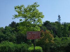 -清漾毛氏文化村