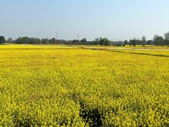 -中国天府农业博览园