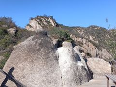 -大岭沟猕猴桃谷风景区