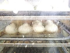 -华天二友居肉饼(宫门口店)