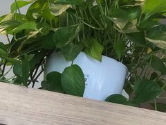 -肯德基(槐苑店)