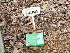 -云碧峰国家森林公园