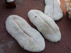 20121025_121906-老味道民宿(栈桥店)