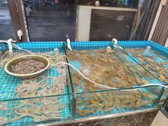 -渡海小渔村.老辈日照菜